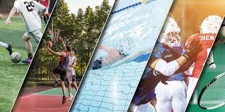 极端案例：解析“历史上规模最大的单场博弈”——一场足球决赛后的疯狂。（极端样本：解析“史上规模最庞大的单场博弈”——足球决赛后的狂潮）