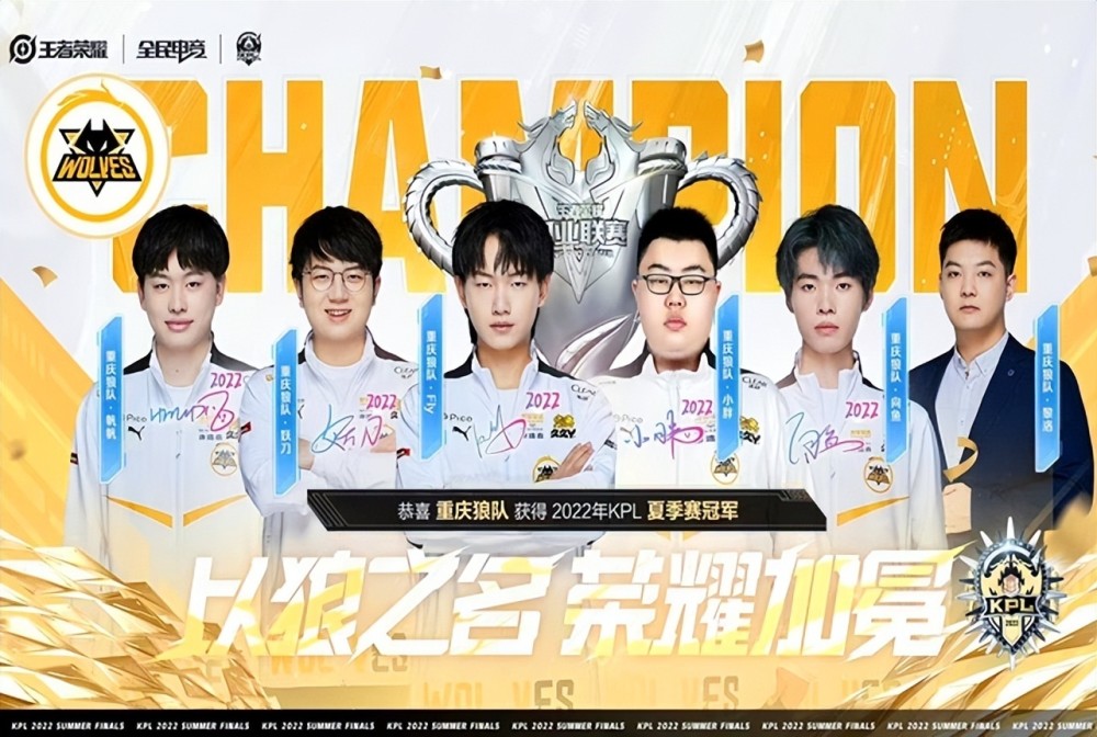 阵容的 阵容的